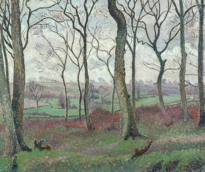 The Dunmow Road from Tilty Wood, 1915 by Lucien Pissarro